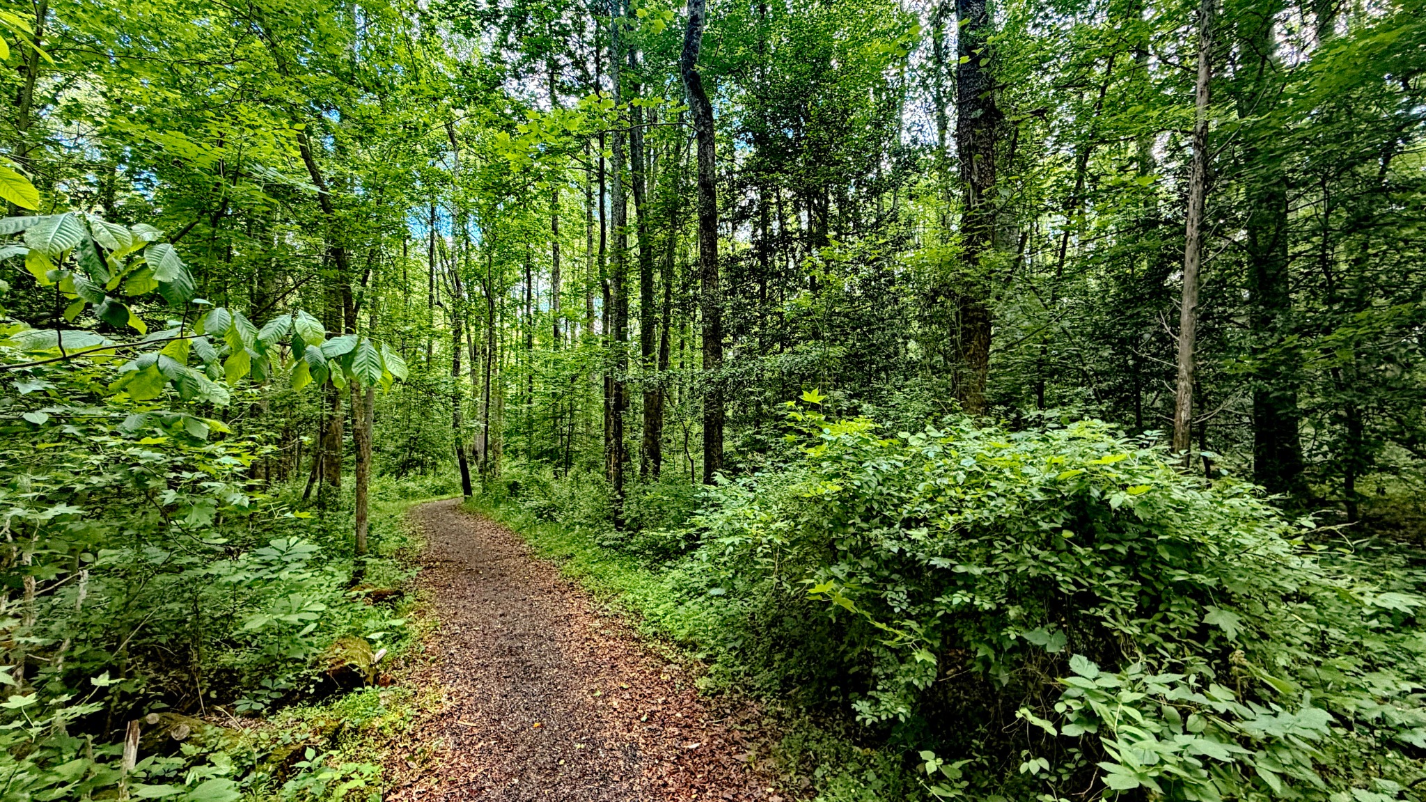 Walking trail at the Villages of SteepleChase